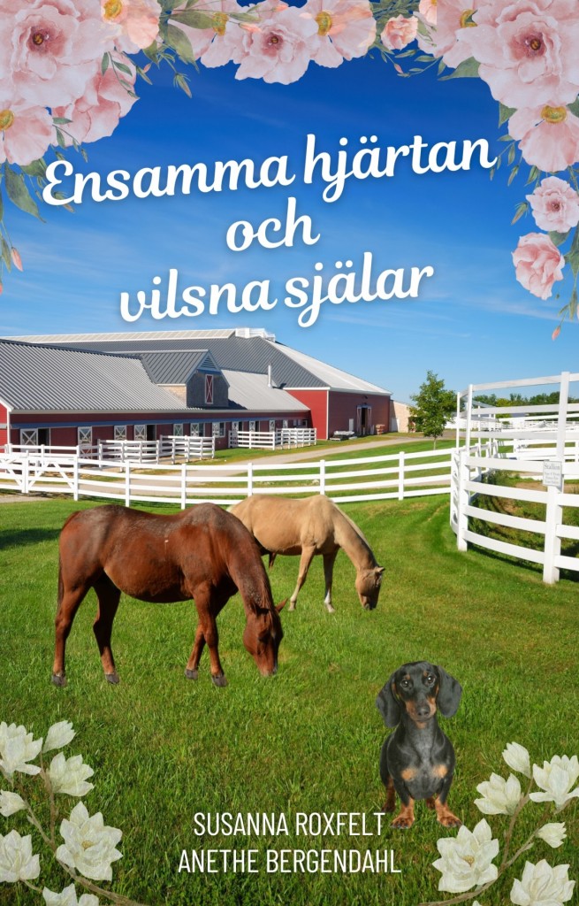 Ensamma hjärtan och vilsna själar Susanna Roxfelt & Anethe Bergendahl