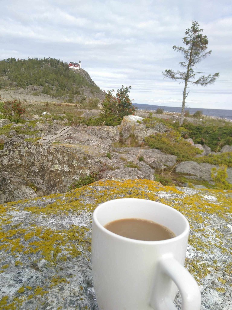 Högbonden fyr Jenny Elfving