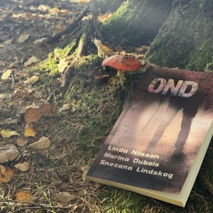 Novellantologi Ond, Belvida bell förlag